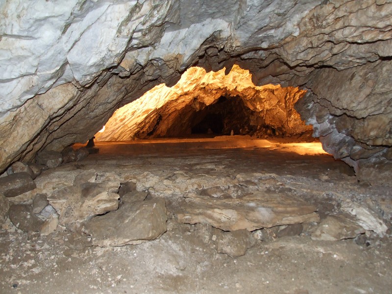 (oryginal)