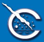 LOGO CSiR