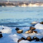 Wspaniała ulica Kijowa