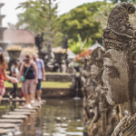 Zwierzęta w Australii