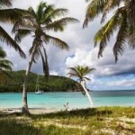 Wielka Zatoka Australijska